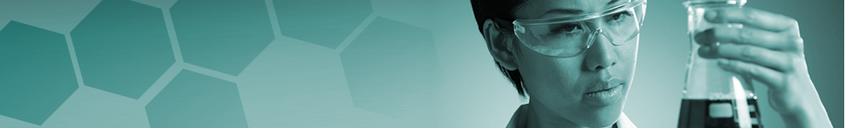Header-Banner